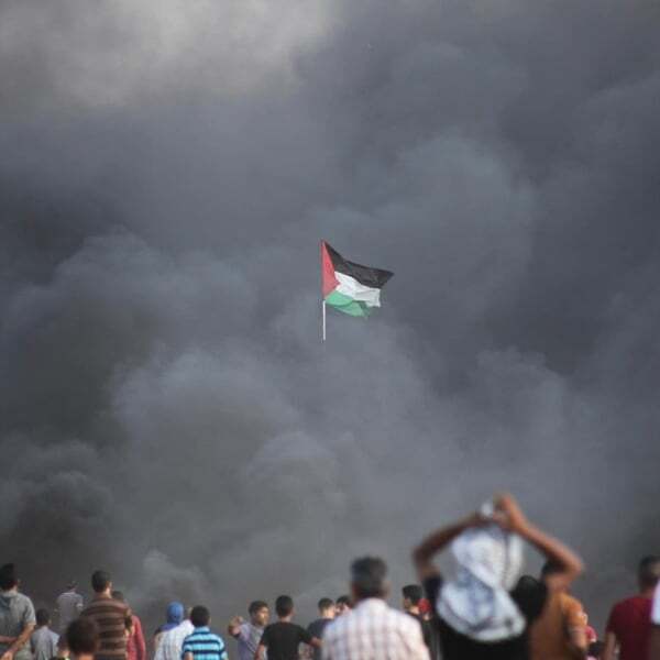 Cover art for Free Palestine (2024 Version)