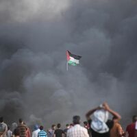 Free Palestine (2024 Version)